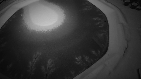 A Light in the Garden A Light in the Garden